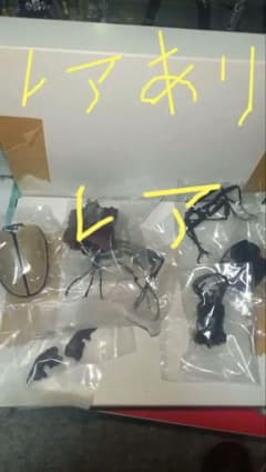 BANDAI いきもの大図鑑 クワガタムシ 12 (レア含む2種類)のサムネイル