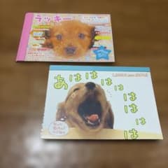 【平成レトロ】メモ帳 2冊セット 子犬デザインのサムネイル