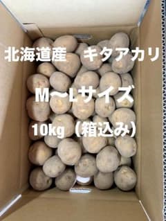 新じゃが　北海道産キタアカリ　10kg M〜Lサイズのサムネイル