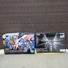 週末限定お値下げ【新品】RG ストライクフリーダムガンダム & 天空の翼セットのサムネイル