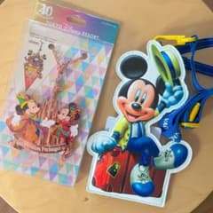 新品未開封 TDL  バケーションパッケージ バッグチャーム　40周年のサムネイル