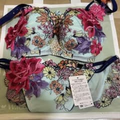 サルート 秋の七草 復刻版 25G Salute ブラジャー ショーツ セット