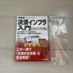 決済インフラ入門 2025年版　新品のサムネイル