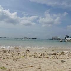ラム様専用のサムネイル