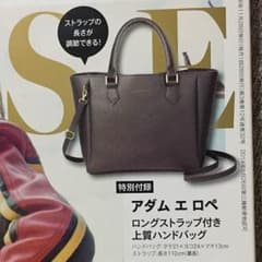 大人ミューズ＊付録(アダム エ ロペ)のサムネイル