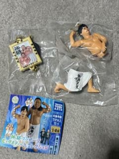 体格ブラザーズ ビッグボディーコレクション 平子のサムネイル