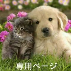 ☆専用 かな様【お取り置き～11/4】のサムネイル