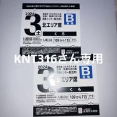 専用　長岡花火　2024 チケット　8月３日のサムネイル