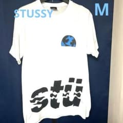 【希少】STUSSY Tシャツ 地球 DESTROY 裾ロゴ ステューシーのサムネイル