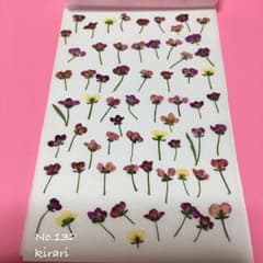 50個プラスα アリッサム  押し花 素材 材料 132のサムネイル
