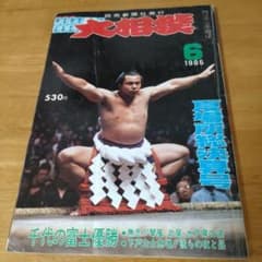 大相撲 1985年6月号 夏場所総決算号のサムネイル