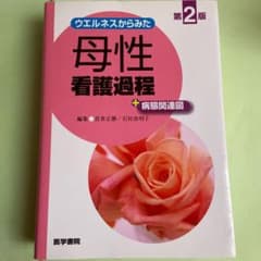 やまし28様専用　ウエルネスからみた母性看護過程+病態関連図のサムネイル