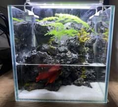 滝の流れるアクアテラリウム 15cmキューブ水槽 - メルカリ