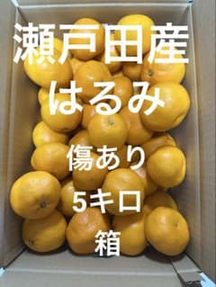 はるみのサムネイル