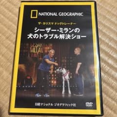 シーザー・ミランの犬のトラブル解決ショー DVD 美品のサムネイル