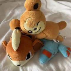 ポケモン ガーディ ゴマゾウ ヒメグマ まとめ売りのサムネイル