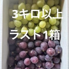 岡山県産 ピオーネ&瀬戸ジャイアンツ　家庭用のサムネイル