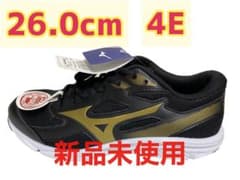 【26cm 4E】幅広 MIZUNO メンズランニングシューズ　通学 通勤のサムネイル