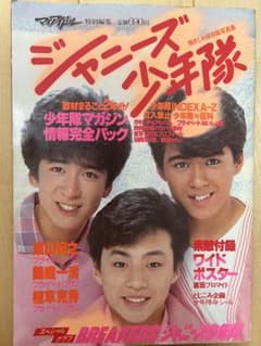 ジャニーズ少年隊写真集のサムネイル