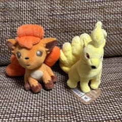 美品】 ポケモンfit ロコン キュウコンぬいぐるみセット - メルカリ