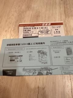 2025年5月31日 野球 コストコ駐車場のサムネイル