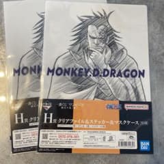 ドラゴン ファイル2枚セットのサムネイル
