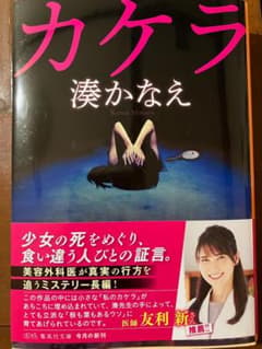 カケラのサムネイル