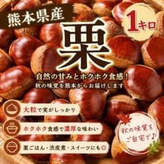 熊本県産 大粒栗 たっぷり1kgのサムネイル