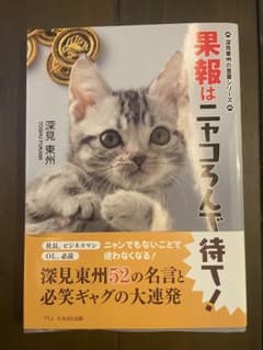 果報はニャコろんで待て！のサムネイル