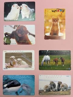 ① 癒やし系動物〜テレホンカード他（使用済み）のサムネイル