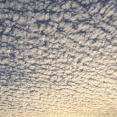 kentaro様専用ページのサムネイル