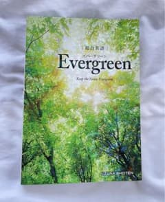 総合英語Evergreenのサムネイル