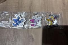 ポケモン 30周年 メタルチャームマスコット 〜シンオウ、イッシュ、カロス〜のサムネイル