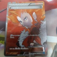 フラダリ サポートカード SR XY - メルカリ