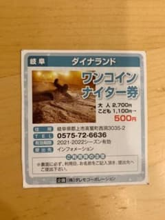 ダイナランド　ワンコインナイター券のサムネイル