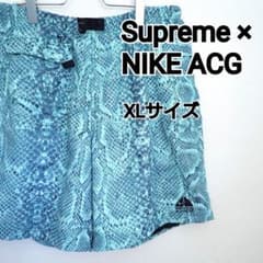 古着 Supreme×NIKE ACG ナイロントレイルショートパンツ - メルカリ