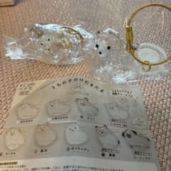 うちの子のけだまだま　プードル　ポメラニアンのサムネイル