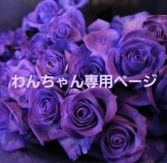 わんちゃん専用のサムネイル