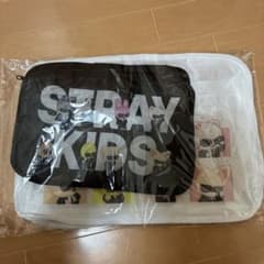 【未開封】Stray Kids アプグレ特典 マルチポーチのサムネイル