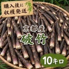 購入後収穫発送 無農薬 京都産 たけのこ 破竹 10キロのサムネイル