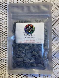 古代ソマチッド(石タイプ100g)のサムネイル