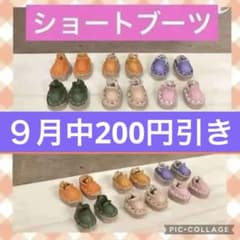 未開封　ワンダーフロッグ　チコチャンドラー　ワンダフレンド ワンダーフロッグ/フォーチュンワンダ：チコ・チャンドラー I-25