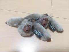 kiplingキーホルダーゴリラ２個セットのサムネイル