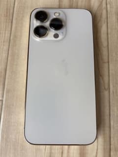 Apple iPhone 13 Pro 値下げ交渉可 - メルカリ