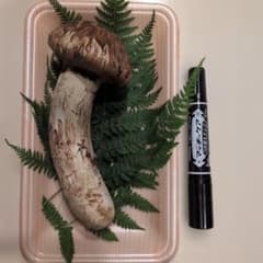 岩手県産 松茸 130g - メルカリ