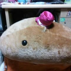 カピバラさん☆ぬいぐるみ♪のサムネイル