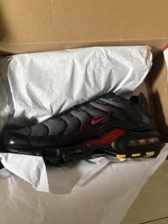 NIKE AIR MAX PLUS DM0032-032のサムネイル