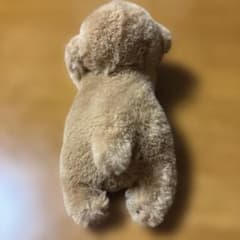 犬 ぬいぐるみ ブラウン ふわふわのサムネイル