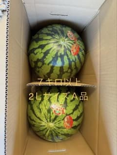 2L-A2 農家直送 大玉 三浦すいか 2Lサイズ 2個7kg以上 A品 - メルカリ