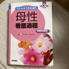 ウエルネスからみた 母性看護過程 +病態関連図のサムネイル